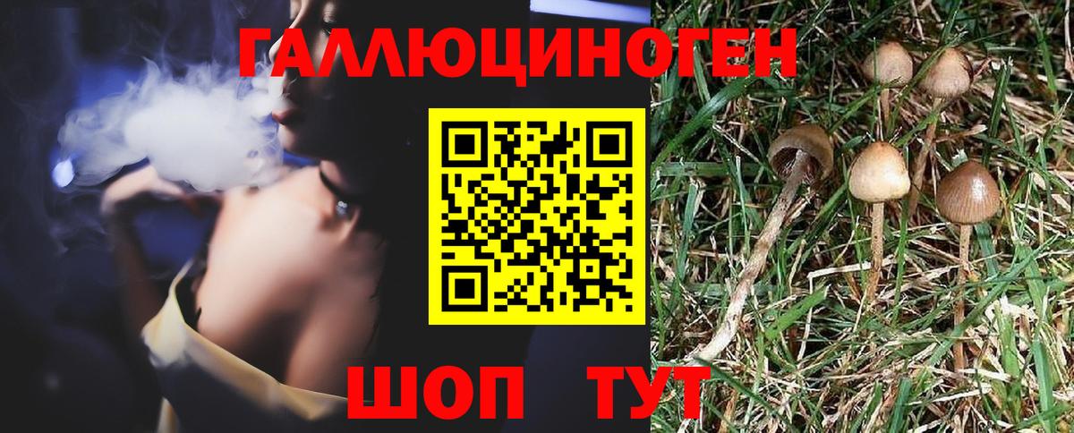 Галлюциногенные грибы GOLDEN TEACHER Аша